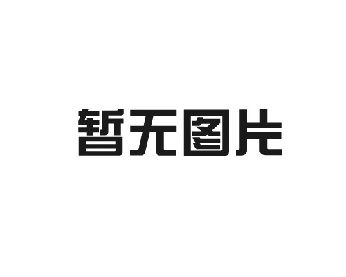 會議擴音系統是否適合大型活動？